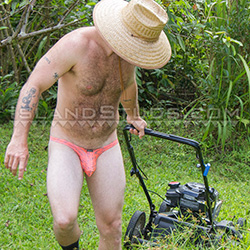 islandstuds-harvey-th