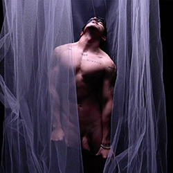 projecteros-alex-austin-wilde-th