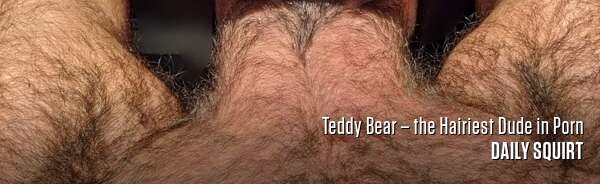 Teddy Bear – the Hairiest Dude in Porn