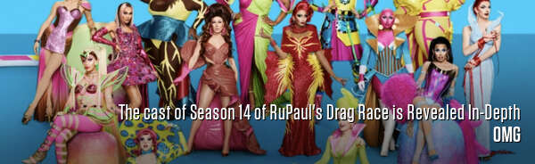The cast of Season 14 of RuPaul's Drag Race is Revealed In-Depth