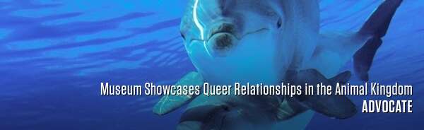Museum Showcases Queer Relationships in the Animal Kingdom