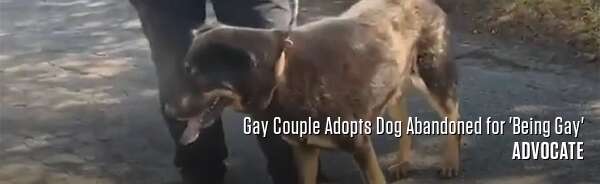 Gay Couple Adopts Dog Abandoned for 'Being Gay'