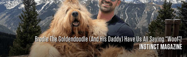 Brodie The Goldendoodle (And His Daddy) Have Us All Saying “Woof”!
